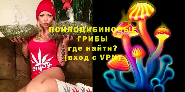PSILOCYBIN Балахна
