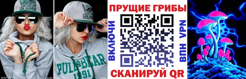 Псилоцибиновые грибы ЛСД Куртамыш