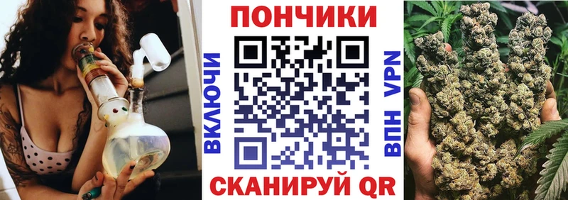 Шишки марихуана марихуана  Куртамыш 
